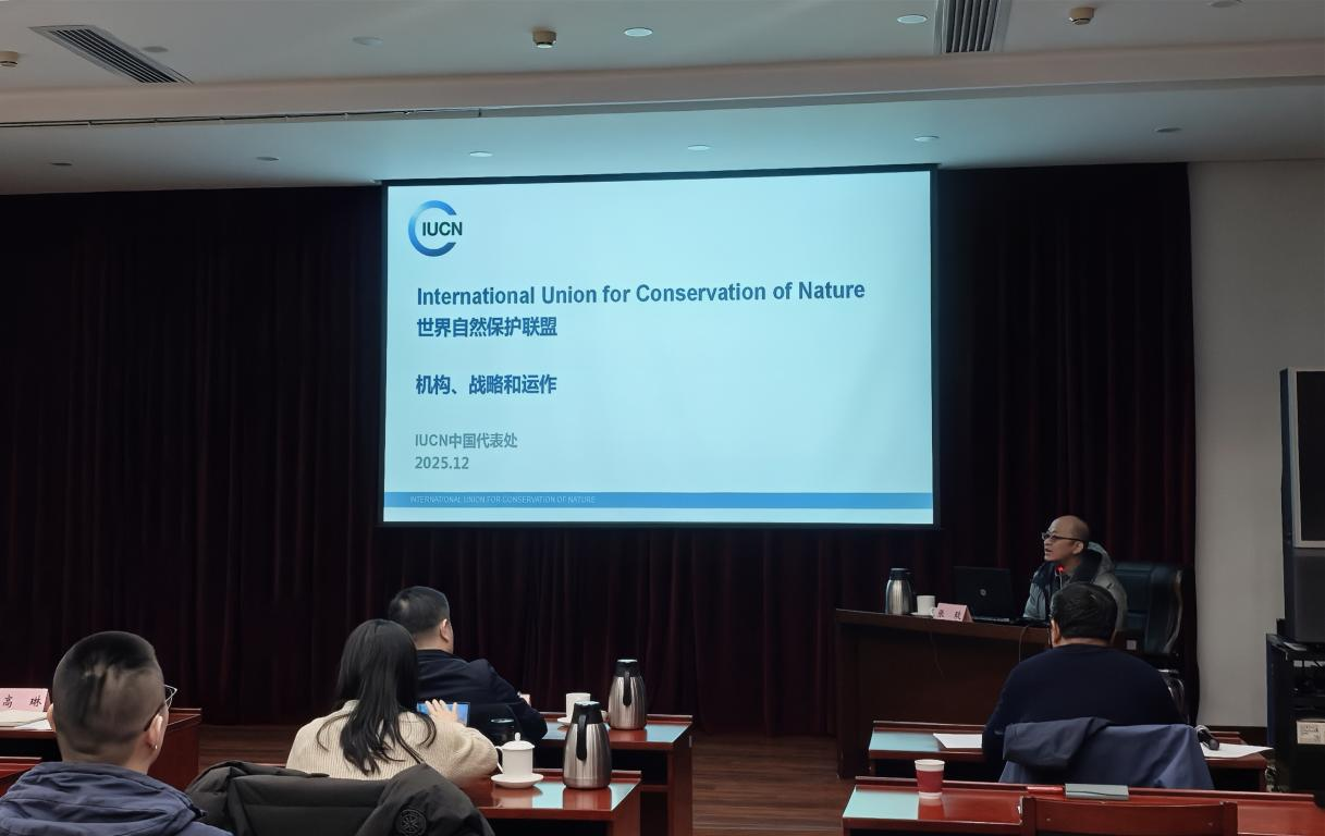 1766047656244790433.png 1766047656244790433.png