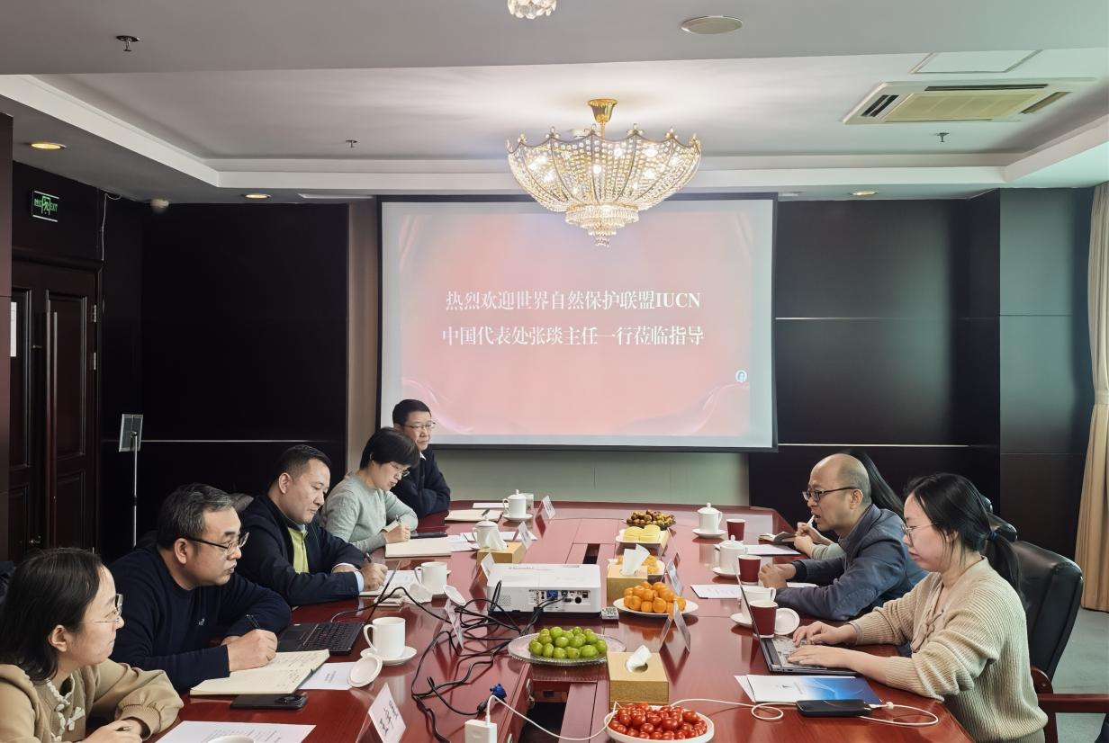 1766047674051900668.png 1766047674051900668.png